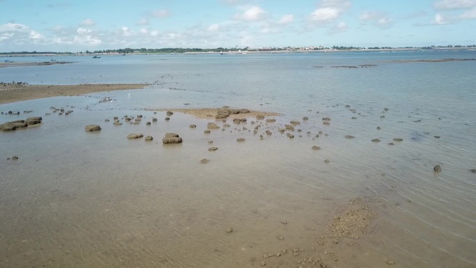 湛江特呈岛