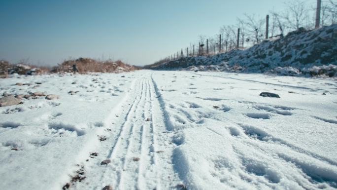 积雪小路与车辙-冬日阳光