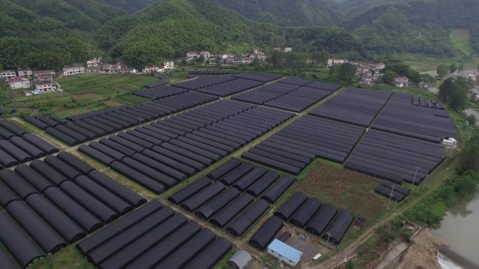 航拍安徽霍山县石斛种植基地2