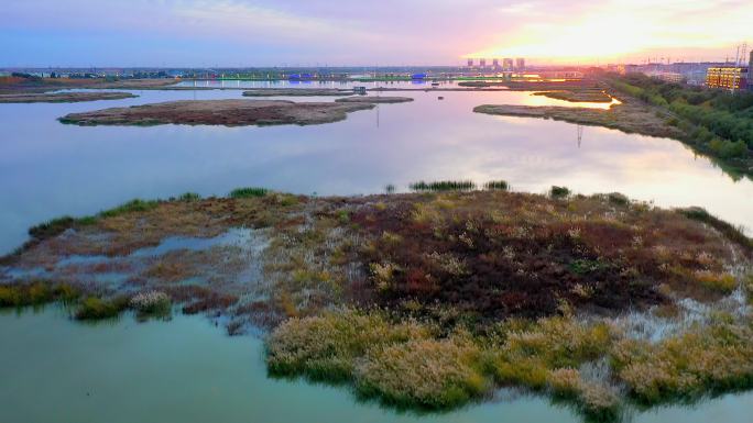 沼泽 湖泊 江河 水草 夕阳 城市