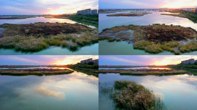 沼泽 湖泊 江河 水草 夕阳 城市