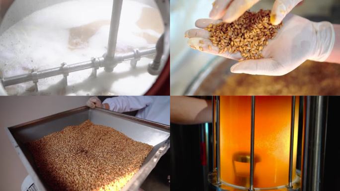 小麦酿造啤酒生产工艺流程