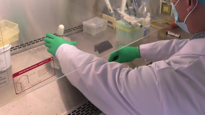 动物实验 细胞接种培养 超净工作台消毒