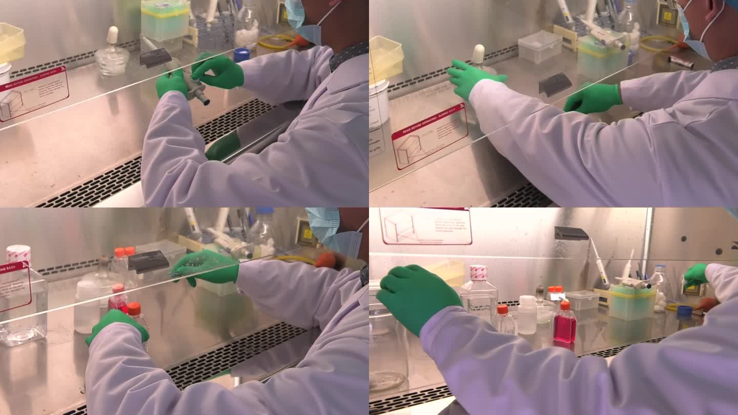 动物实验 细胞接种培养 超净工作台消毒