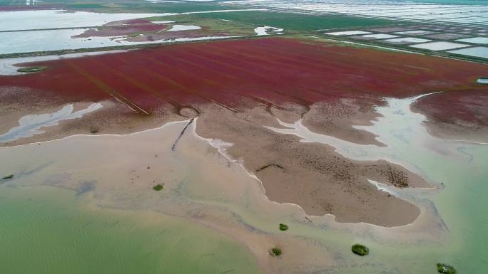 江苏盐城条子泥海涂湿地