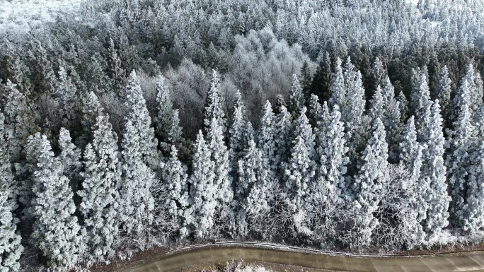 冬季雪景原始4k航拍视频素材