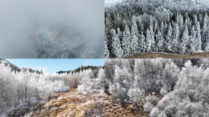 冬季雪景原始4k航拍视频素材