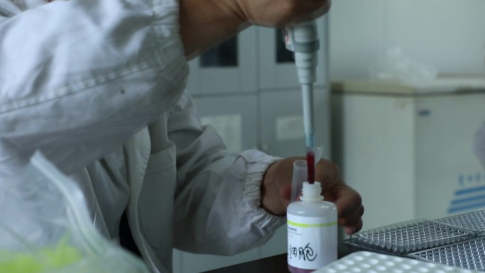 血液检测 血凝实验 稀释 样本 稀释剂