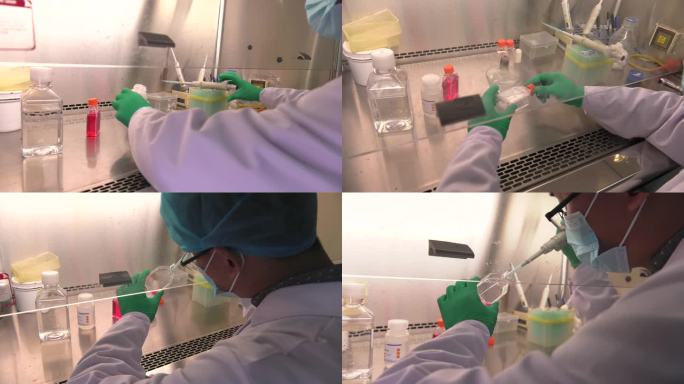 动物实验 细胞接种培养 取细胞 接种