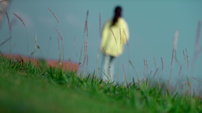 【4K】唯美美女走过草地背影