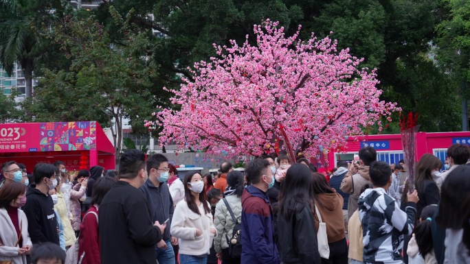 4K正版-2023兔年迎春花市逛花街10