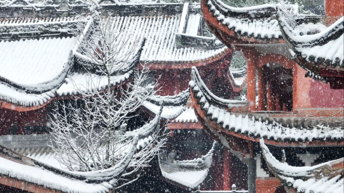 唯美雪景千年古寺最美古树公园云峰寺庙