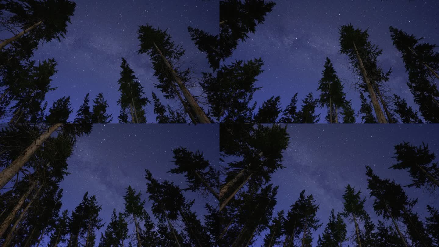 森林星空夜景