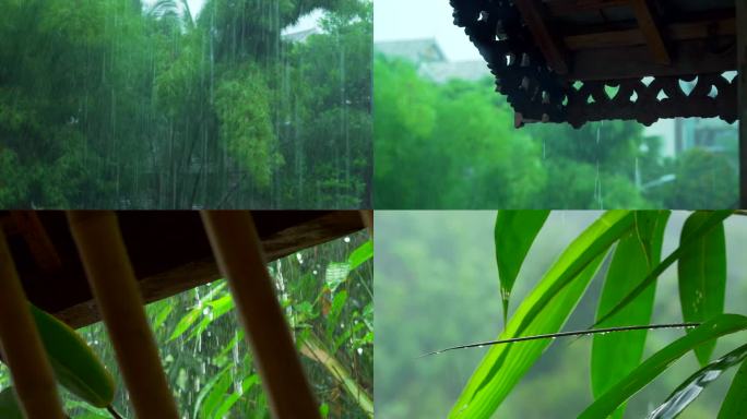 4k森林雨季下雨
