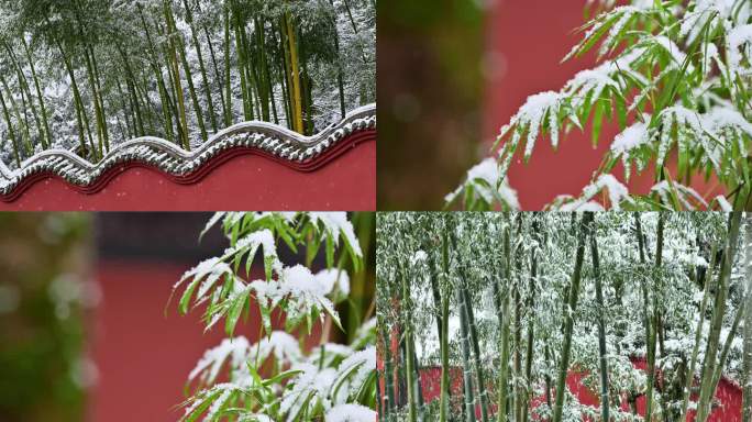 唯美雪景千年古寺最美古树公园云峰寺庙