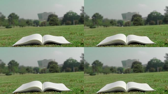 【4K】草地上的书自动翻页