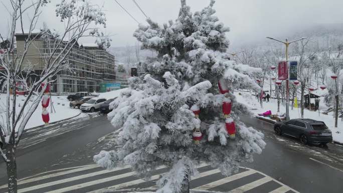 雪地里的红灯笼