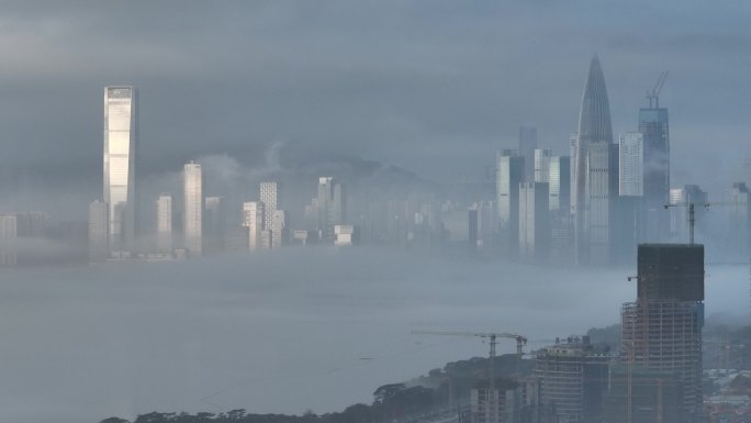 深圳南山后海的平流雾