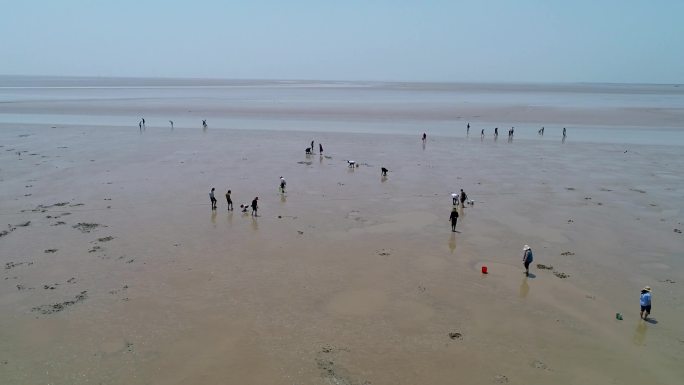 江苏盐城条子泥海涂湿地