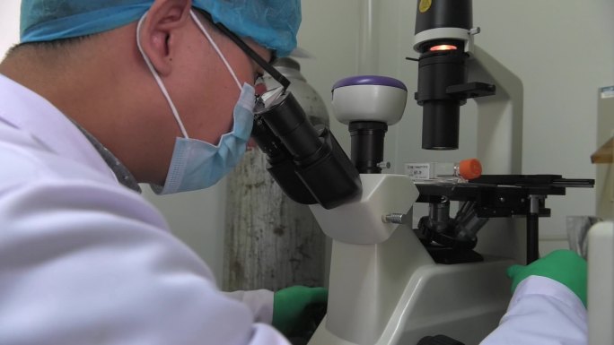 动物实验 细胞接种培养 显微镜观察细胞