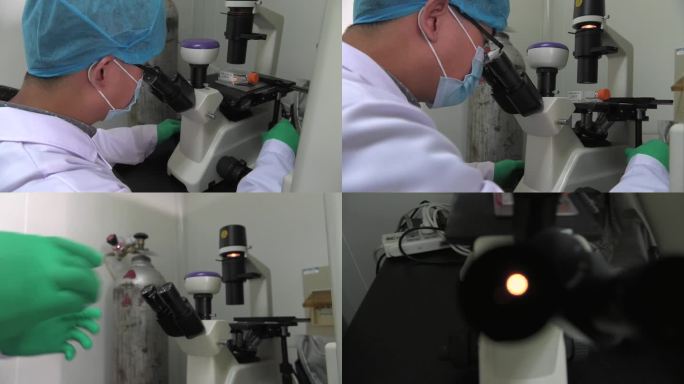 动物实验 细胞接种培养 显微镜观察细胞