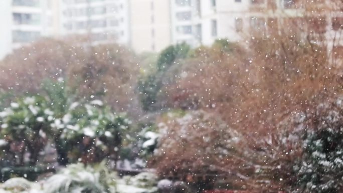 漫天飞雪，雪花在空中飞舞，飘落在树叶上