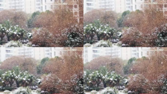 漫天飞雪，雪花在空中飞舞，飘落在树叶上