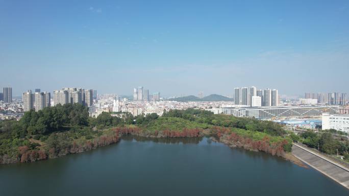 深圳坪山大山陂水库