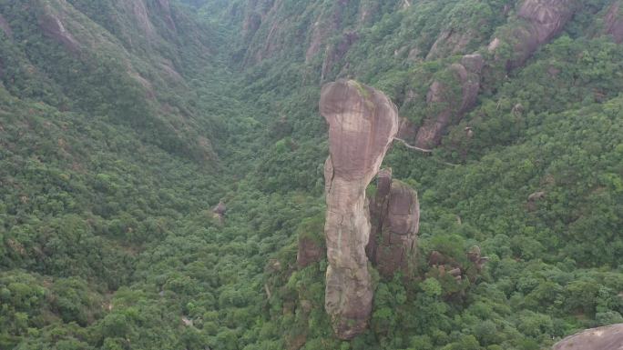 巨蟒出山