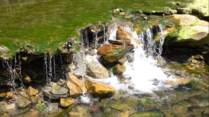 饮用水源保护区天然溪水流淌