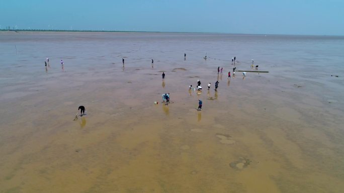 江苏盐城条子泥海涂湿地