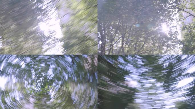 树林旋转，眩晕的意向镜头