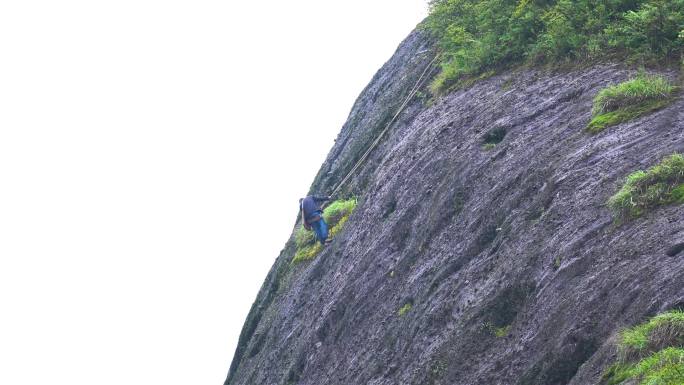 崀山悬崖峭壁采药人采草药野生铁皮石斛3