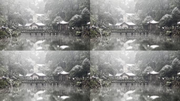 重庆冬天下雪公园