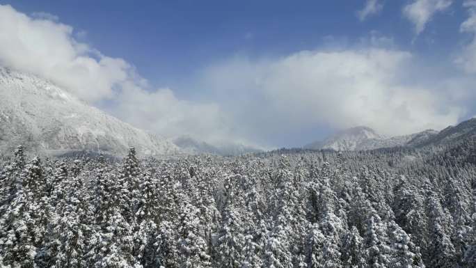 都江堰龙池雪景