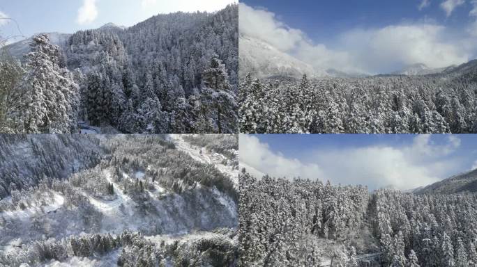 都江堰龙池雪景