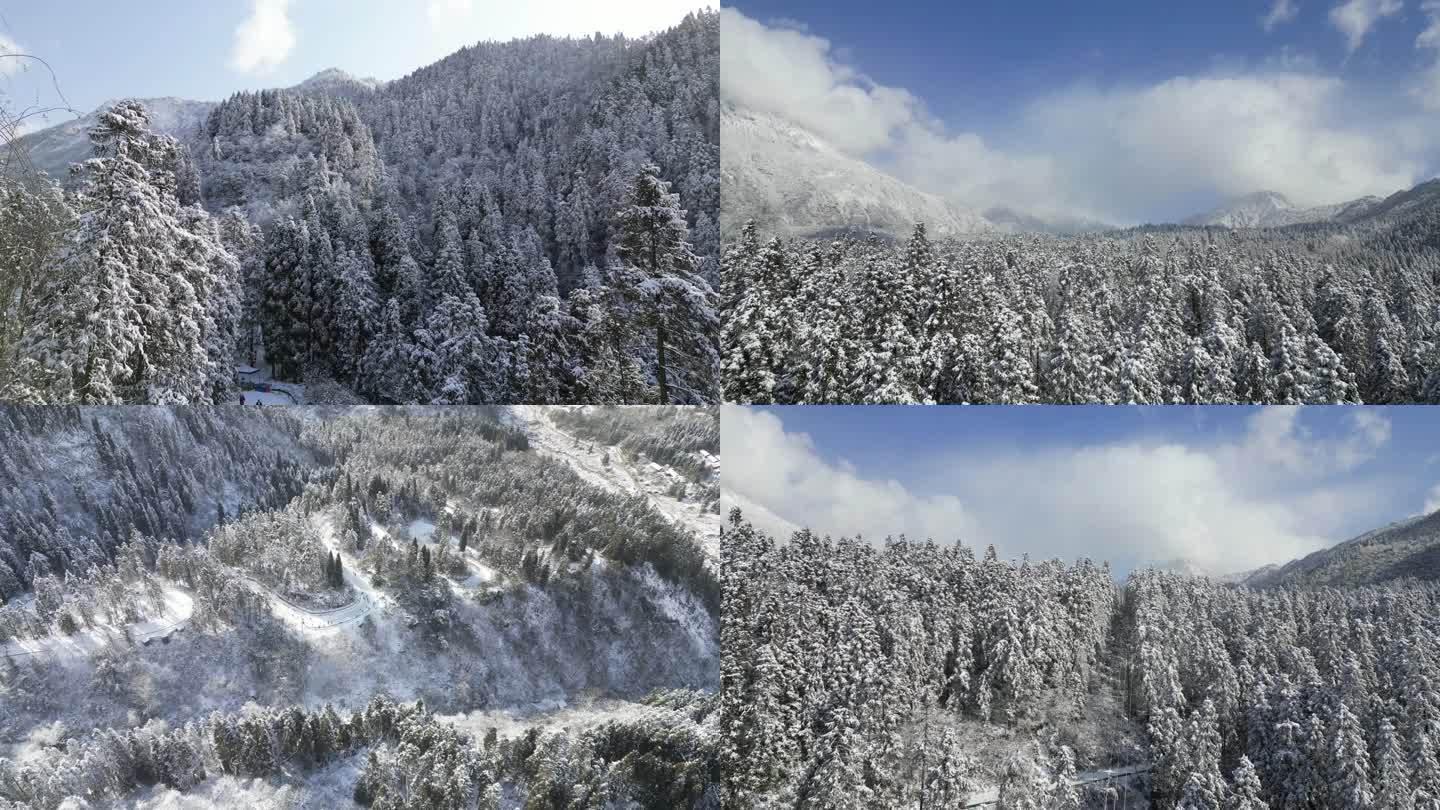 都江堰龙池雪景