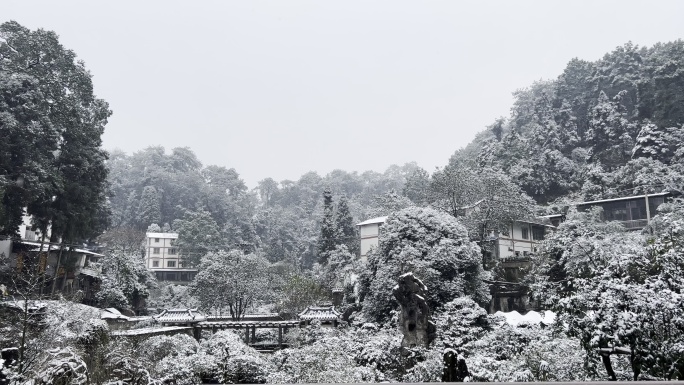 重庆冬天下雪公园园林