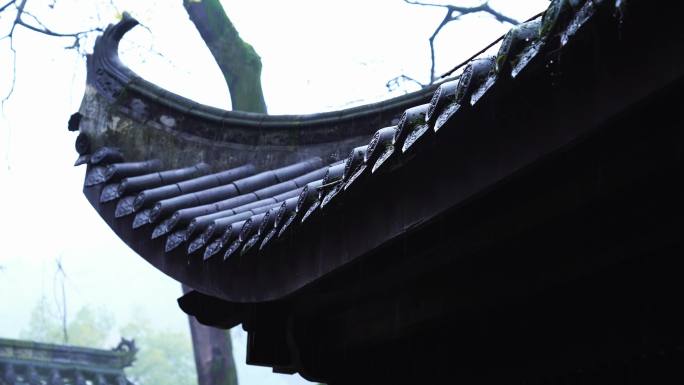 雨滴 下雨视频 唯美 雨景