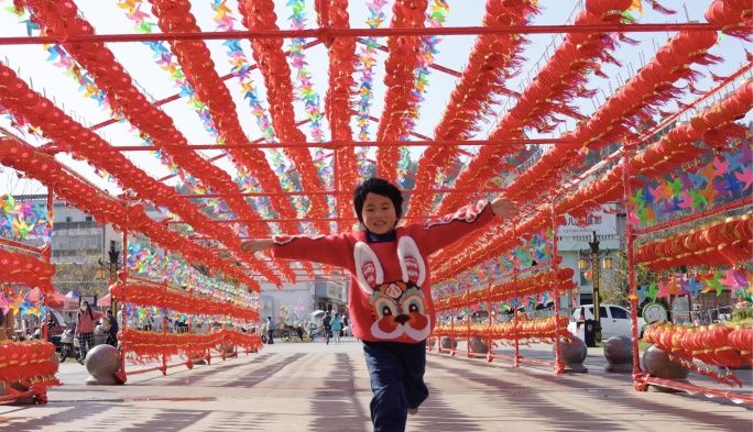 乡镇年货节街赶集延时素材