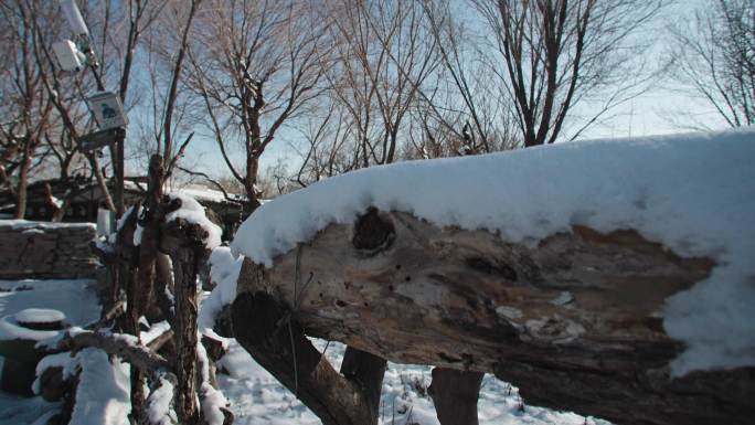 冬日暖阳-木栅栏上的积雪