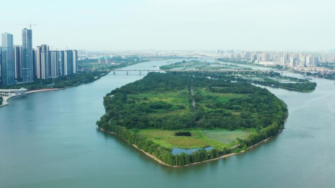 跨江大桥 城市风景 高楼大厦