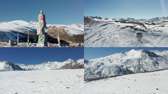 云南香格里拉白马雪山