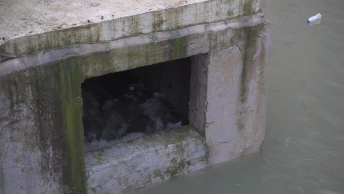 城市内涝，积水，河道，暴雨后河道，排水