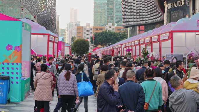 深圳新春花市