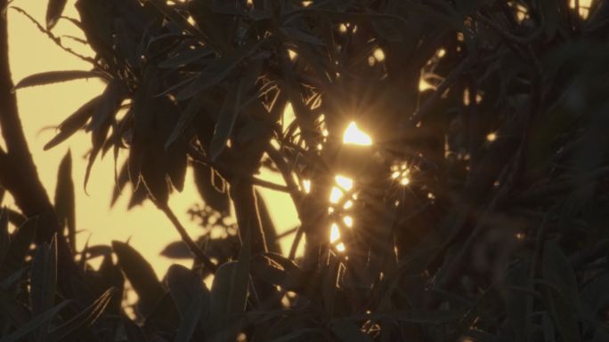 夕阳星芒升格4K实拍空镜