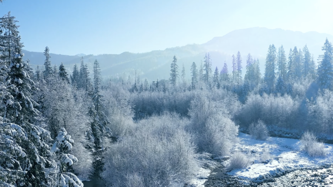 阳光照在雪地 林海雪原 雪压青松