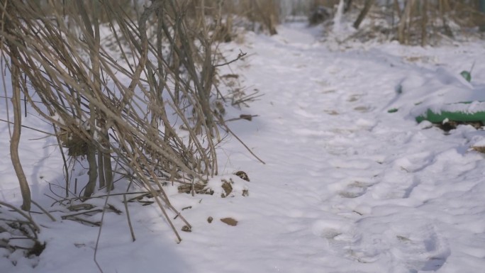 乡间小路 雪地 乡愁