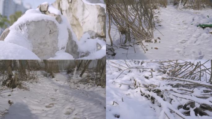 乡间小路 雪地 乡愁