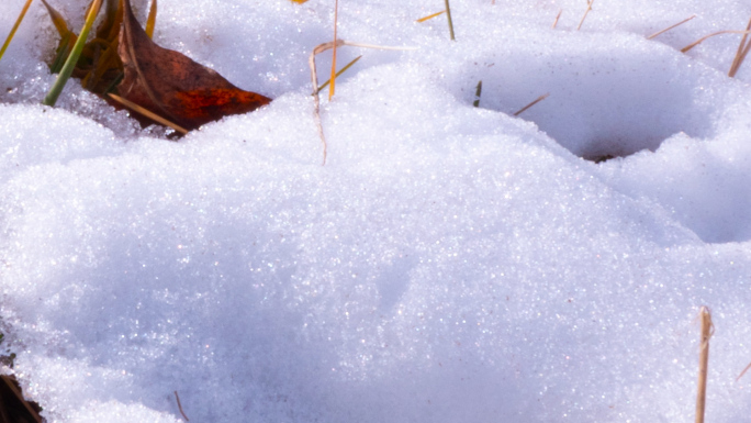 雪融化延时高清